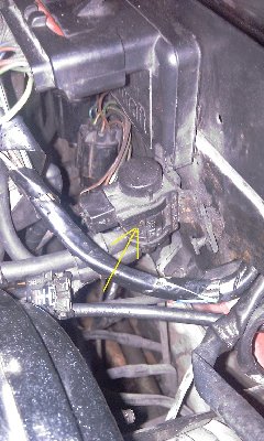 IMAG0543.jpg