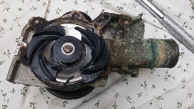 20190620_122125.jpg
