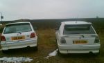 C16DAW & XRV438.jpg