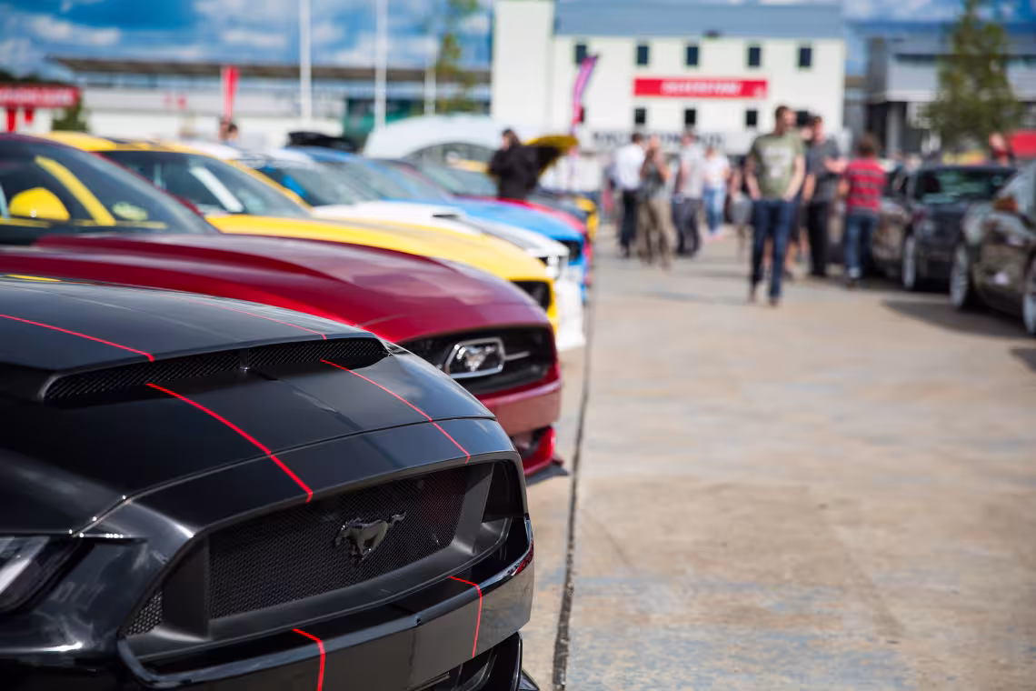 Many Mustangs